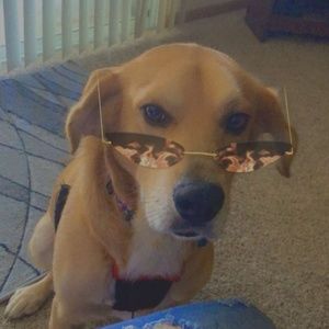 Meet your Posher, Stevie